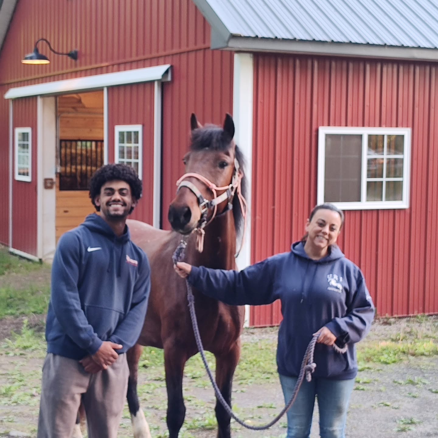 Placeholder photo for All the Kings Horses Equine Rescue