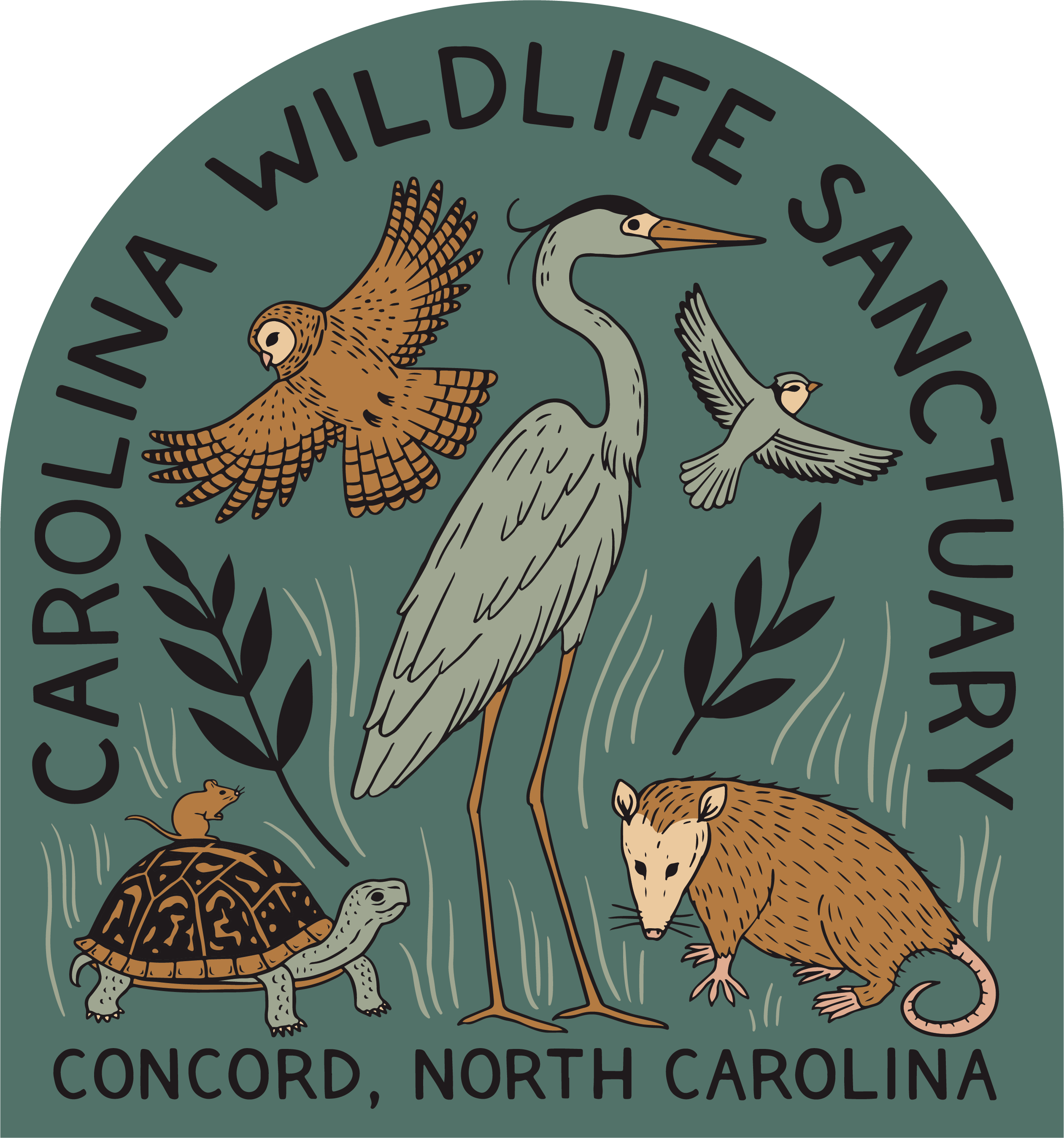 Carolina Wildlife Sanctuary