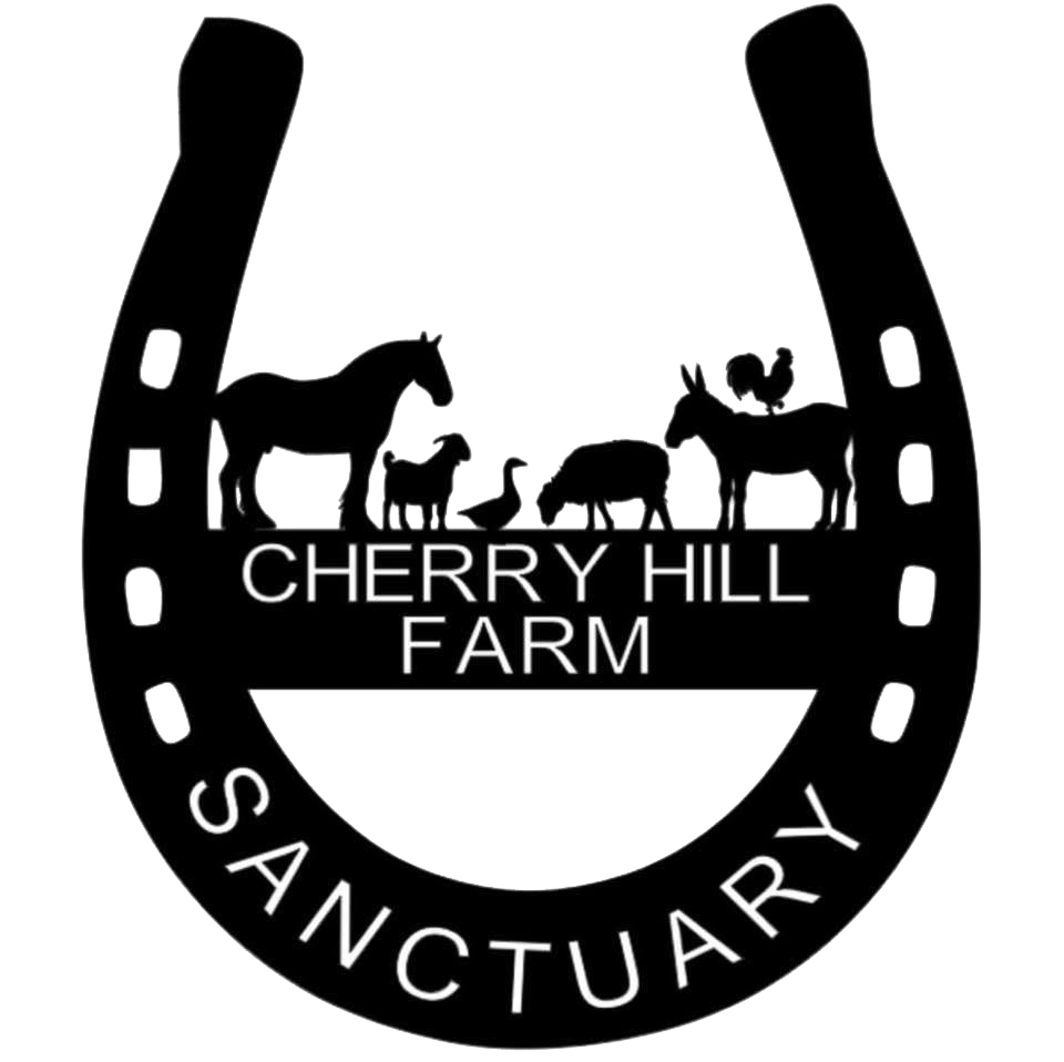 Cherry Hill Farm Sanctuary