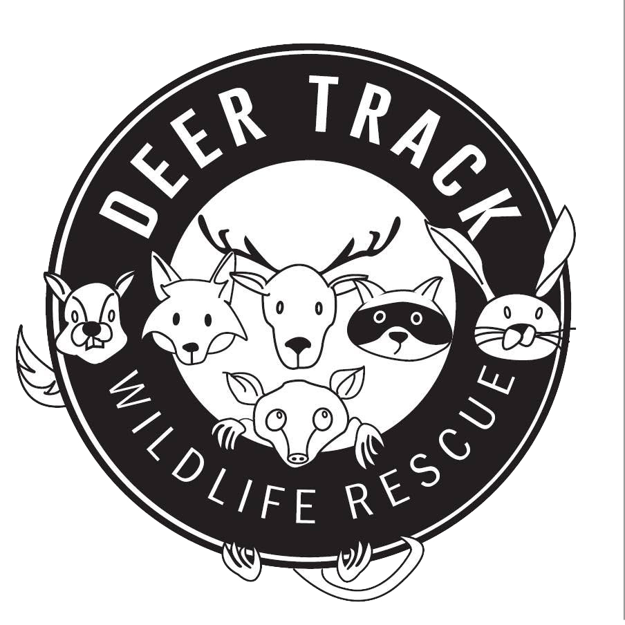 Deer-Track Wildlife Rescue