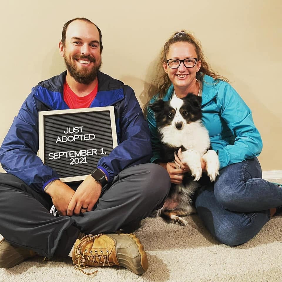 Placeholder photo for Family Addition Dog Rescue