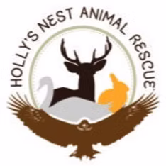 Holly's Nest Animal Rescue