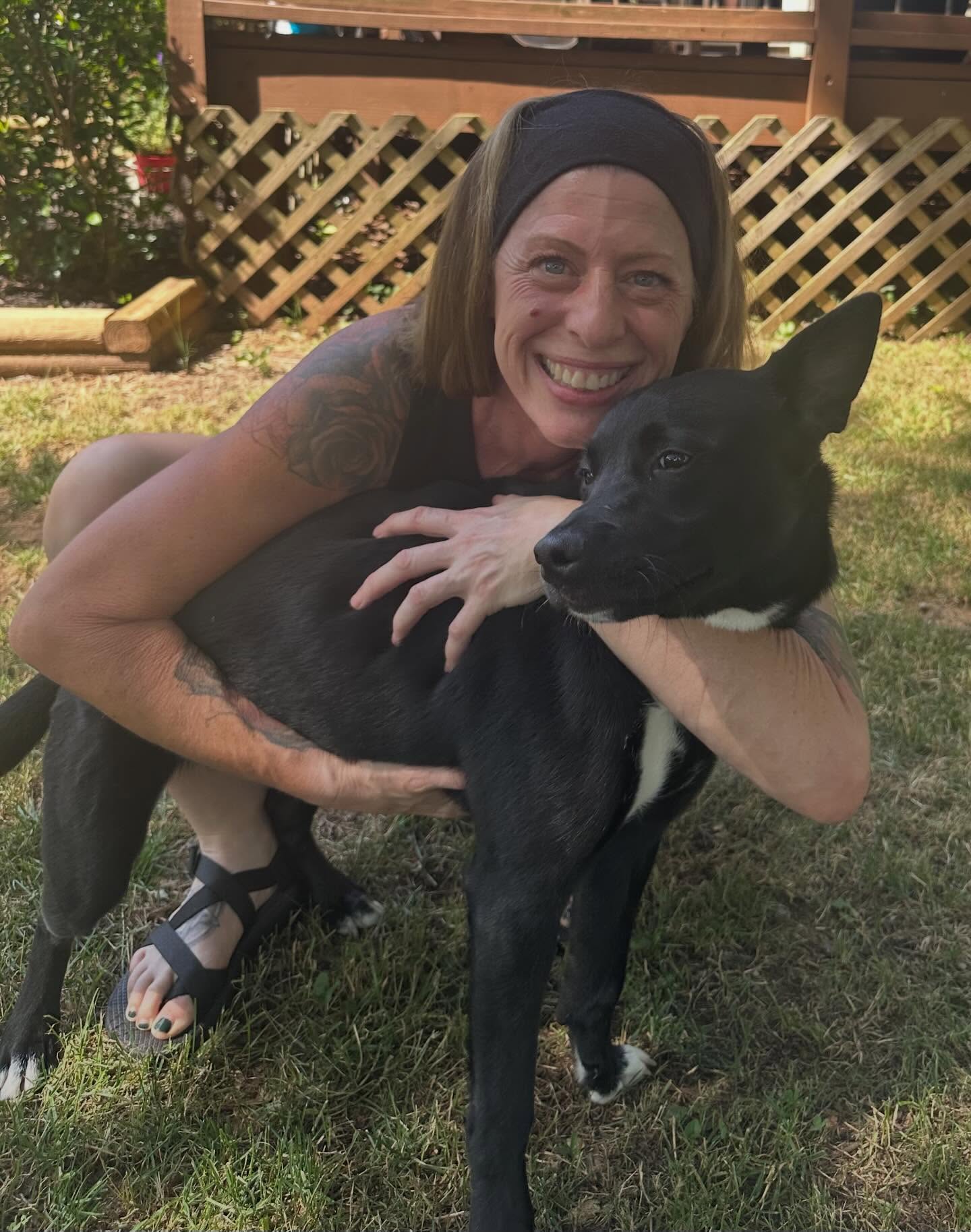 Placeholder photo for North Mecklenburg Animal Rescue