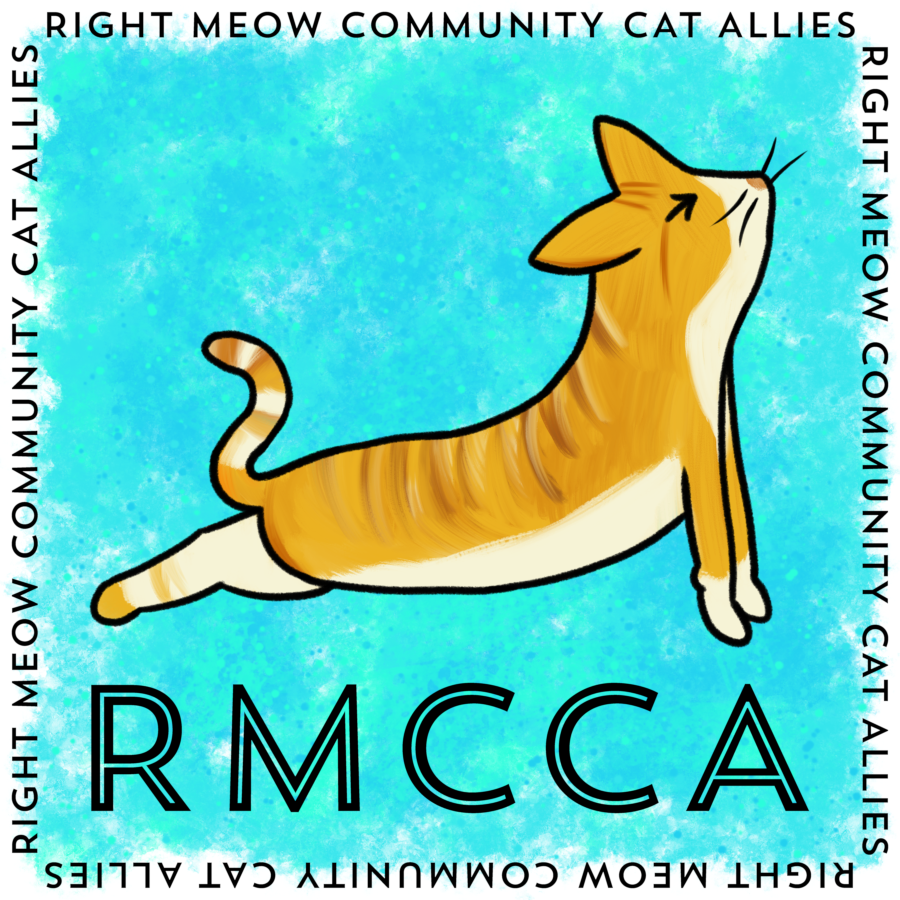 Right Meow Community Cat Allies
