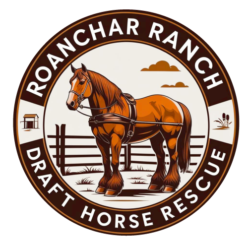Roanchar Ranch Draft Horse Rescue