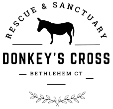 The Donkey's Cross