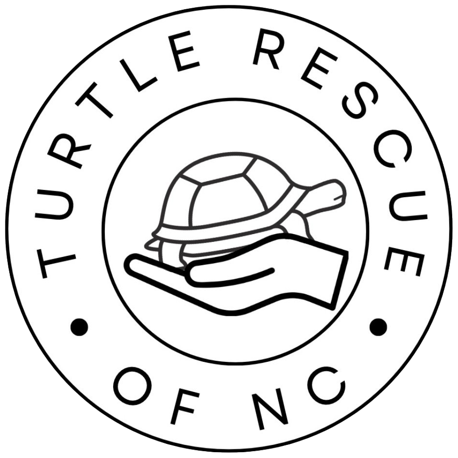 Turtle Rescue of North Carolina