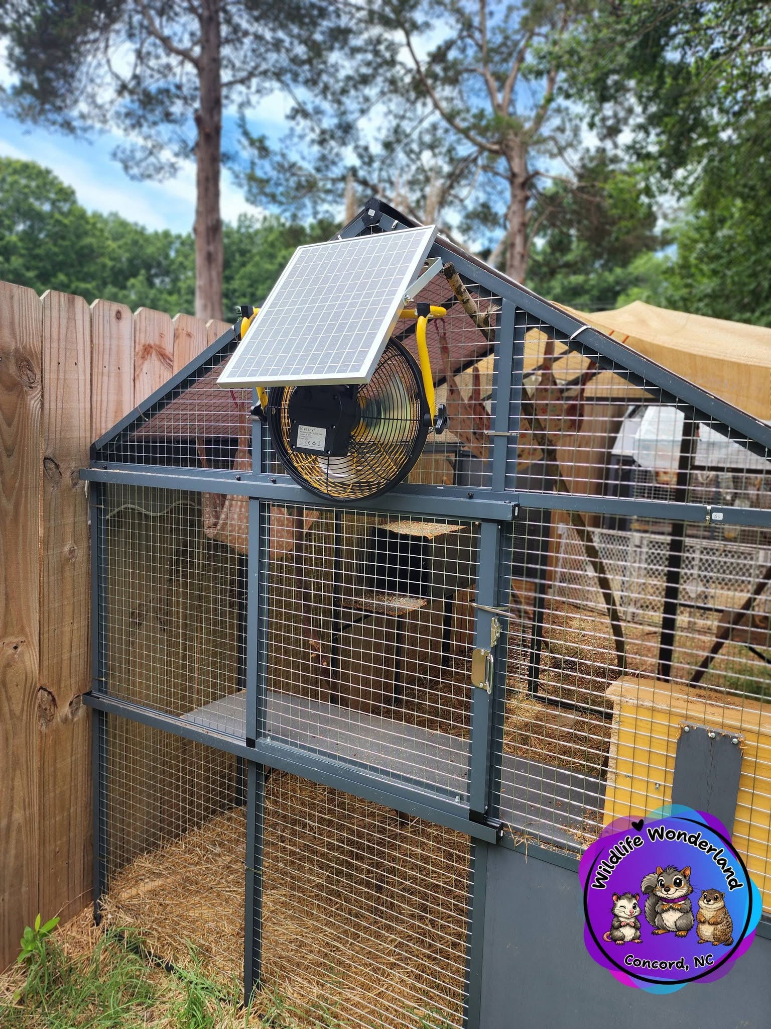 Squirrel pen with a large fan