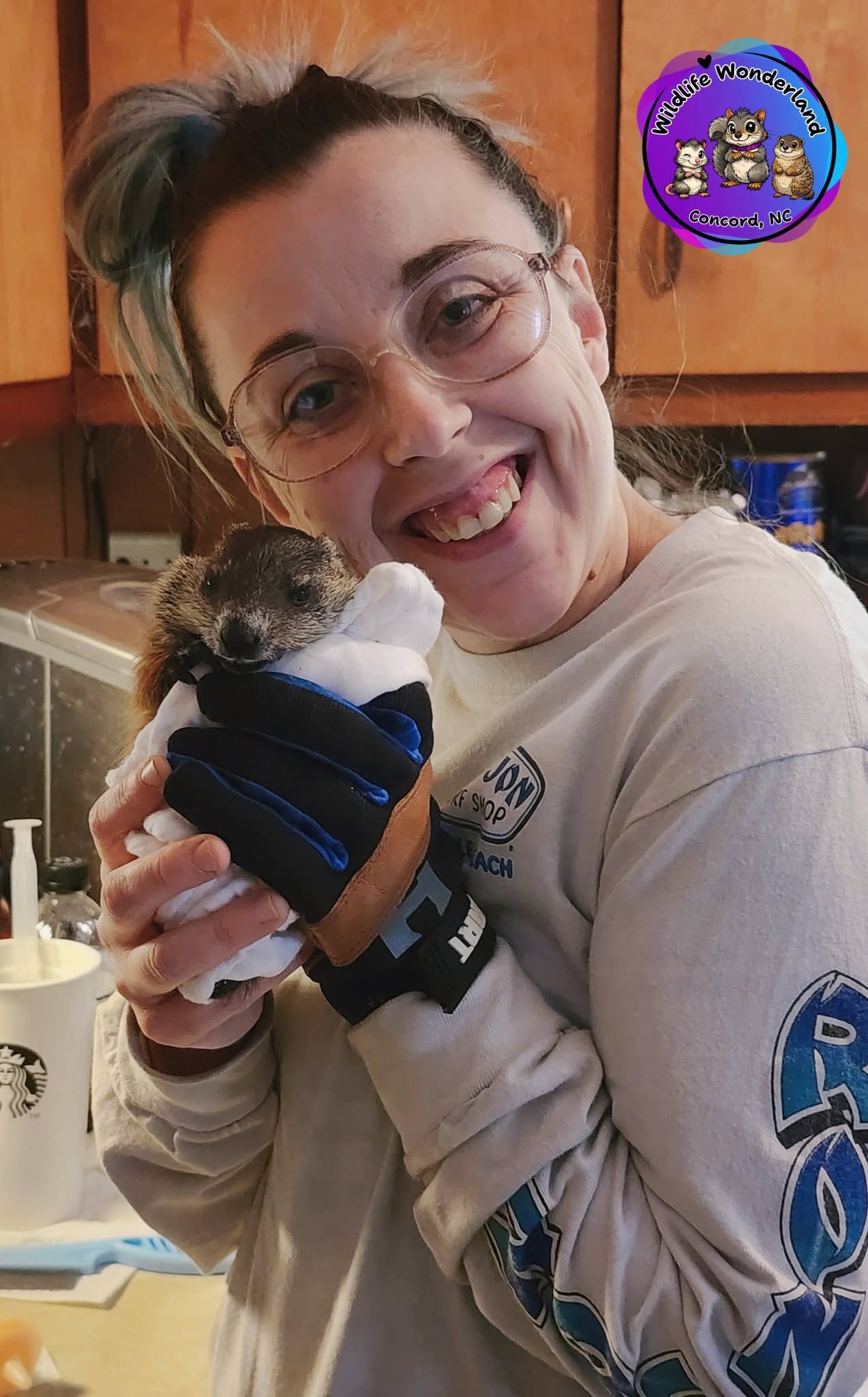Placeholder photo for Wildlife Wonderland