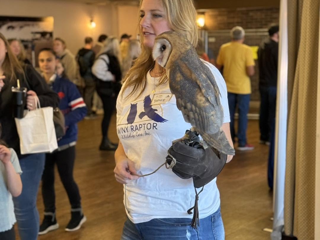 Placeholder photo for WNY Raptor & Wildlife Care
